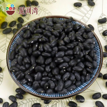 Black kidney bean 500-550pcs / 100g China market on hot sale